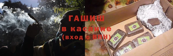 гидра Инта