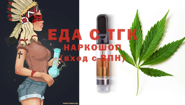 гидра Инта