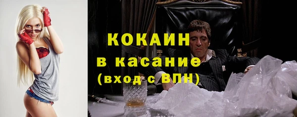 гидра Инта
