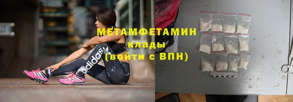 гидра Инта