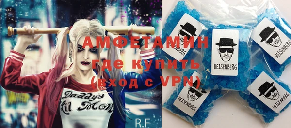 гидра Инта