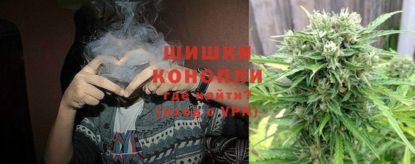 прущий лед Инсар