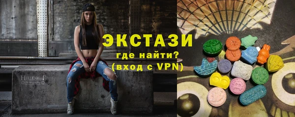 гидра Инта