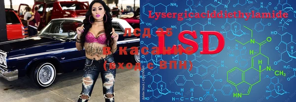 гидра Инта