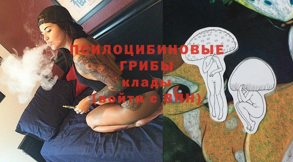 гидра Инта