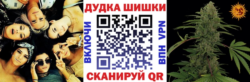 Бошки марихуана SATIVA & INDICA  как найти закладки  Кировград 